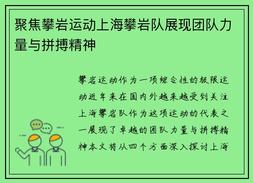 聚焦攀岩运动上海攀岩队展现团队力量与拼搏精神